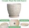 Ceramic Planter with Drainage Hole and Saucer Ceramic Pots - 8 Inch, Petit-flower Petal White